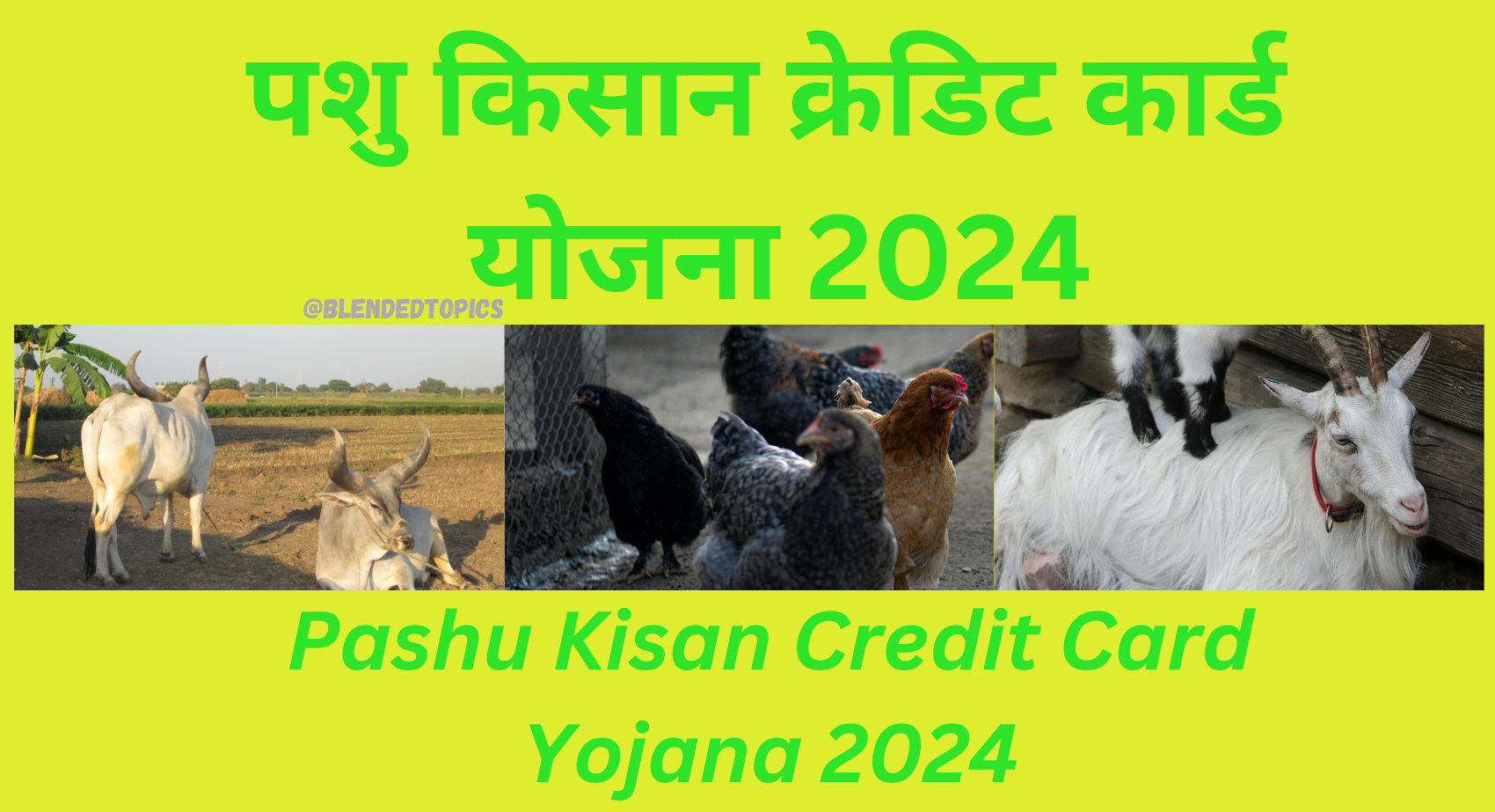 Pashu Kisan Credit Card